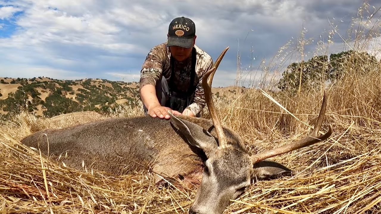 Cazeria de Venado California Zona A