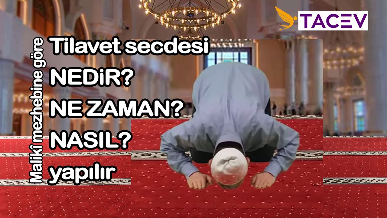 Tilavet secdesi nedir, ne zaman, nasıl yapılır ? (Maliki'yi taklid eden Hanefi için)