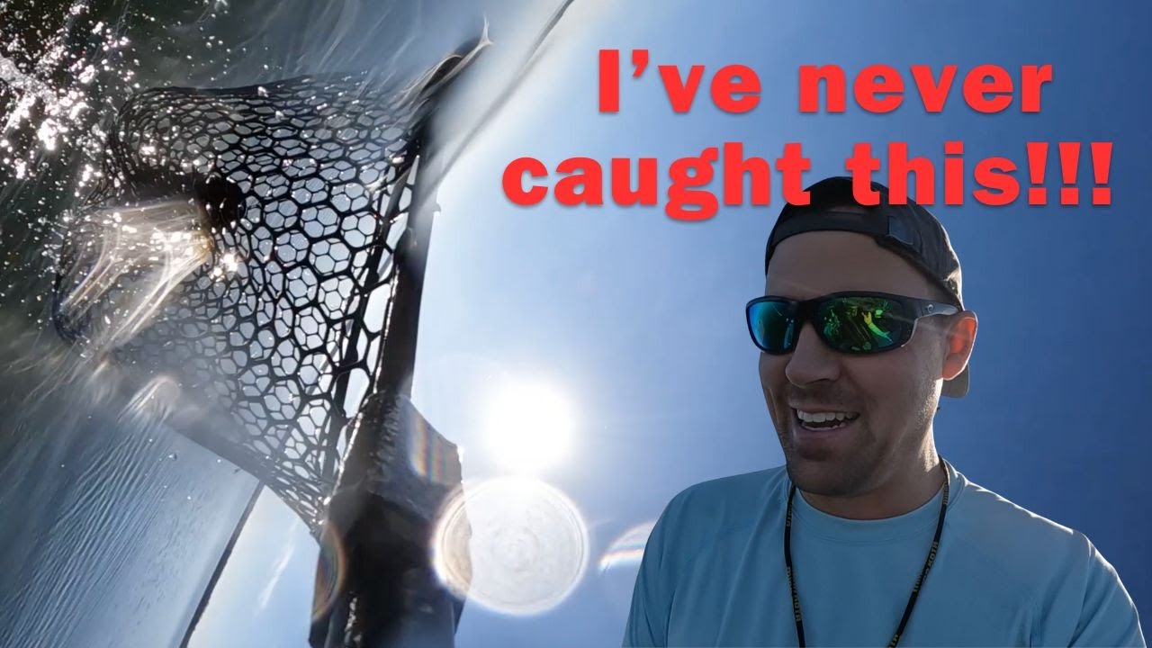 Luckiest Catch Ever! | Winter Deadstick Bass Fishing