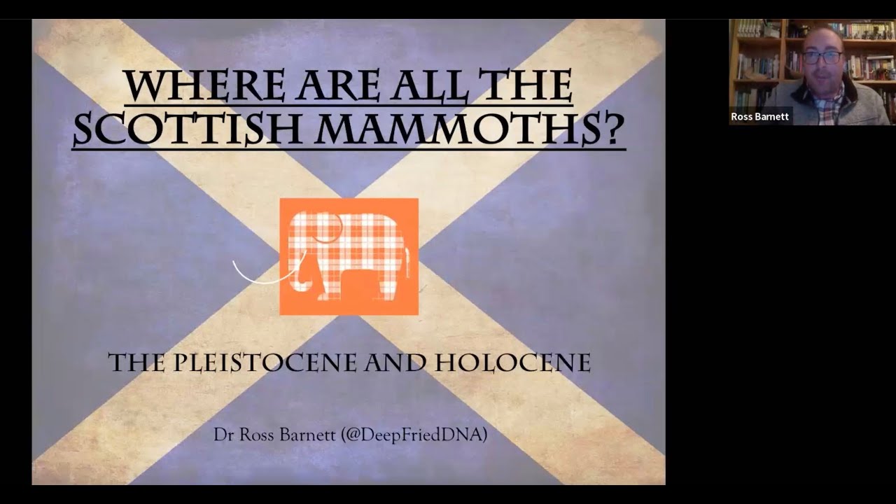 Online talk: Where are all the Scottish mammoths?