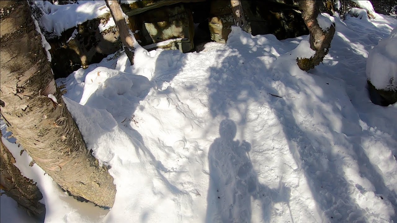 Skiing cave glades - Gore Mountain