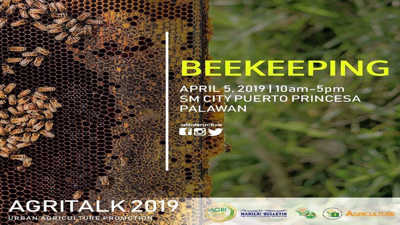 Agritalk 2019 | Puerto Princesa City | Stingless Bee Technology