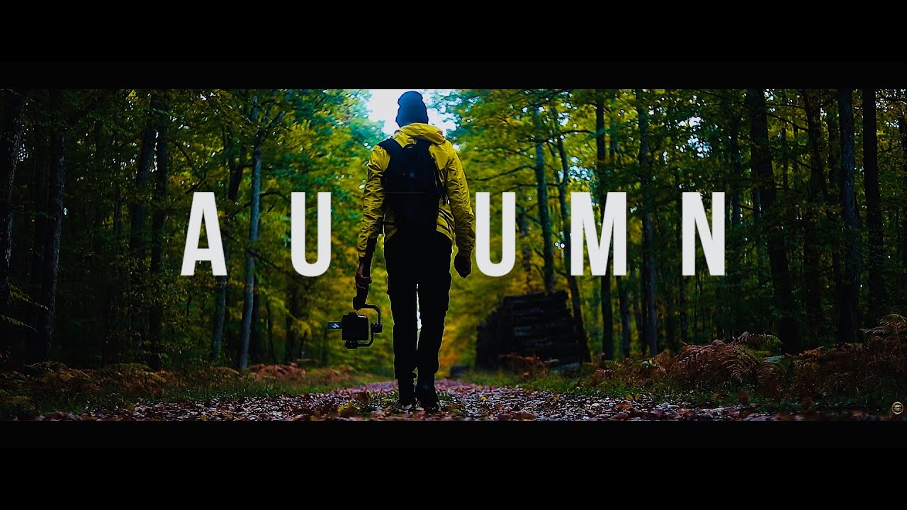 A U T U M N   CINEMATIC FOREST VIDEO