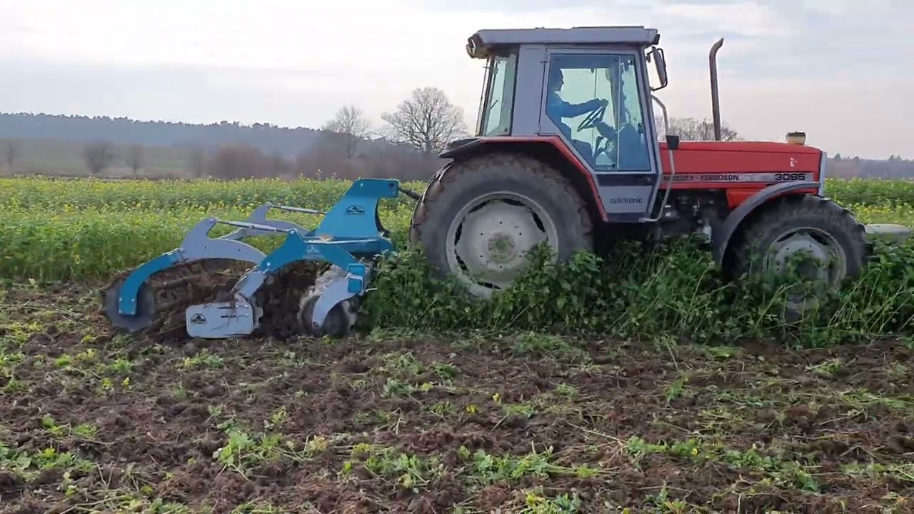 Ferguson 3095 talerzówka Agrona