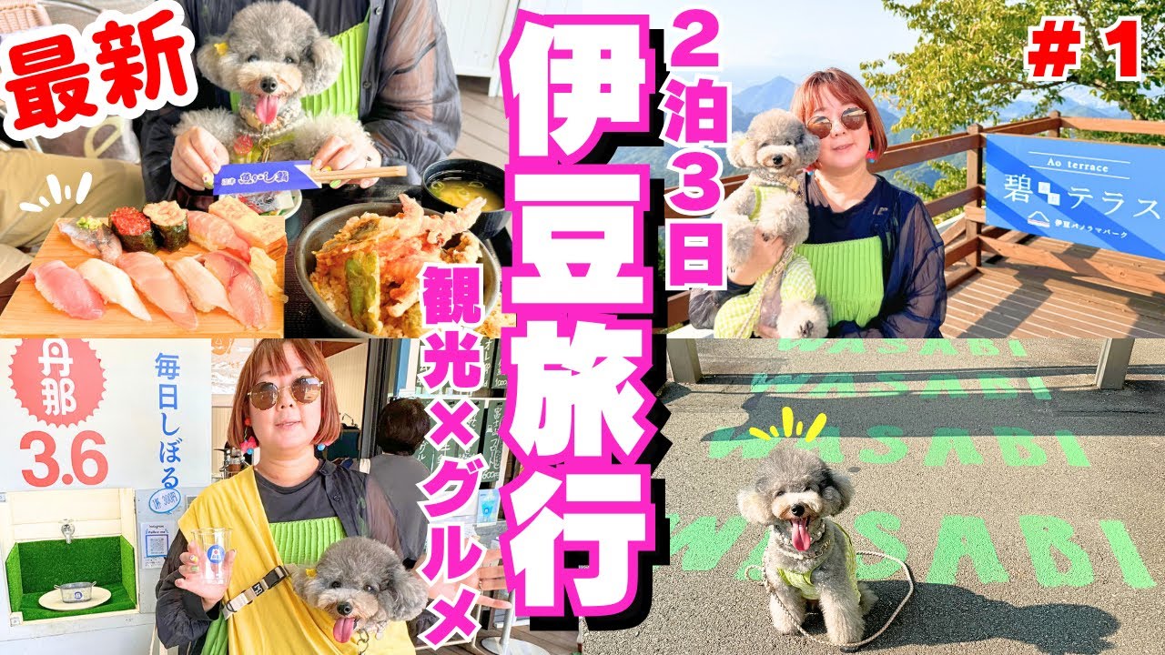【伊豆高原観光】犬連れ必見！最新版 観光スポットやグルメ情報を紹介！【伊豆パノラマパーク・道の駅伊豆ゲートウェイ函南】vol.１
