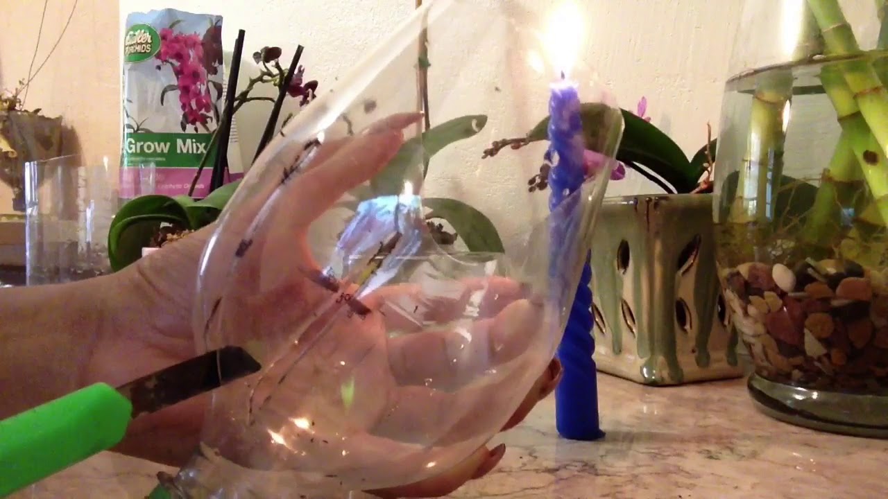 Como hacer macetas con botellas de plástico para tus orquídeas pasó a pasó