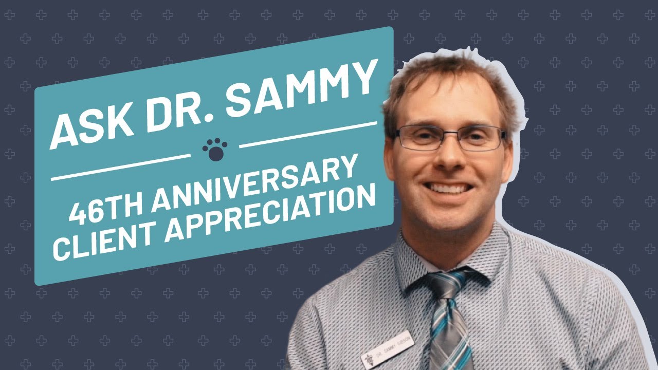 45th Anniversary Client Appreciation | Eastwood Animal Clinic | El Paso, TX