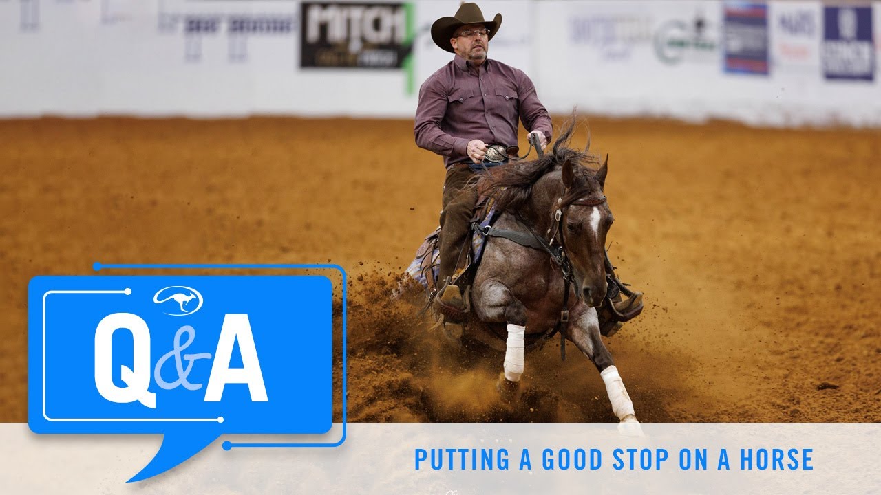 Putting a Good Stop on a Horse - Q&A
