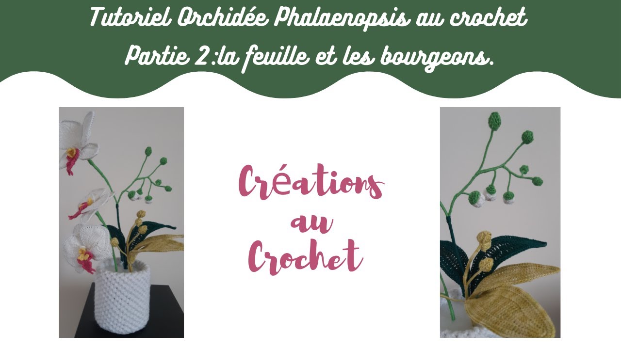 Tutoriel l'Orchidée Phalaenopsis au crochet partie 2 La feuille et les bourgeons