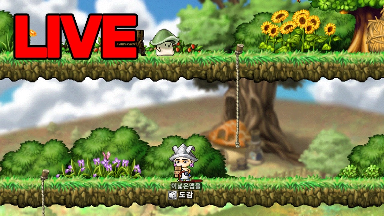 돌아온 빅토리아 아일랜드【 도감작 】