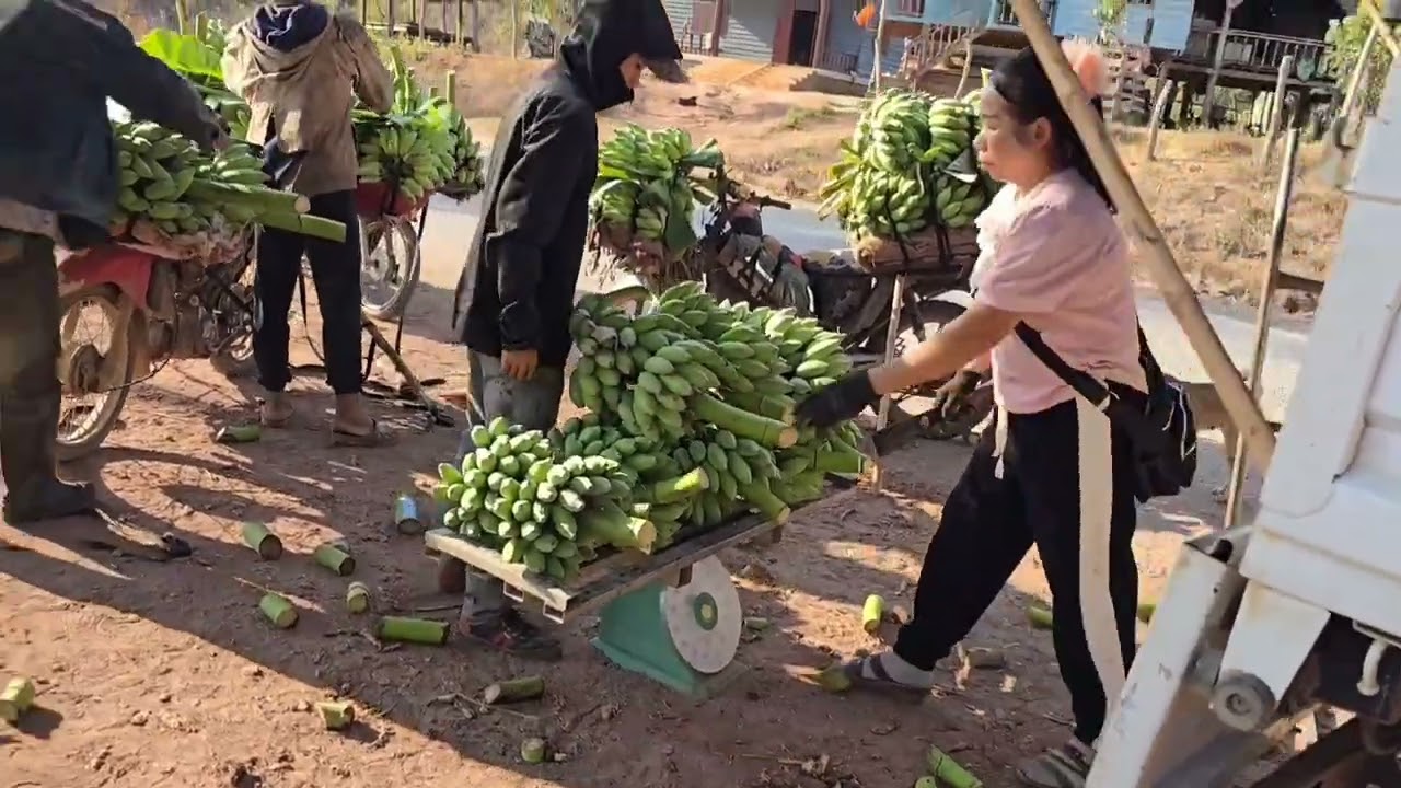 ธรรชาติเขตชนบทที่เมีองนอง