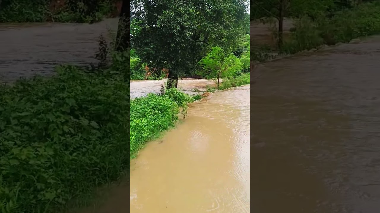 flood in M.P #flood #waterfall #shorts