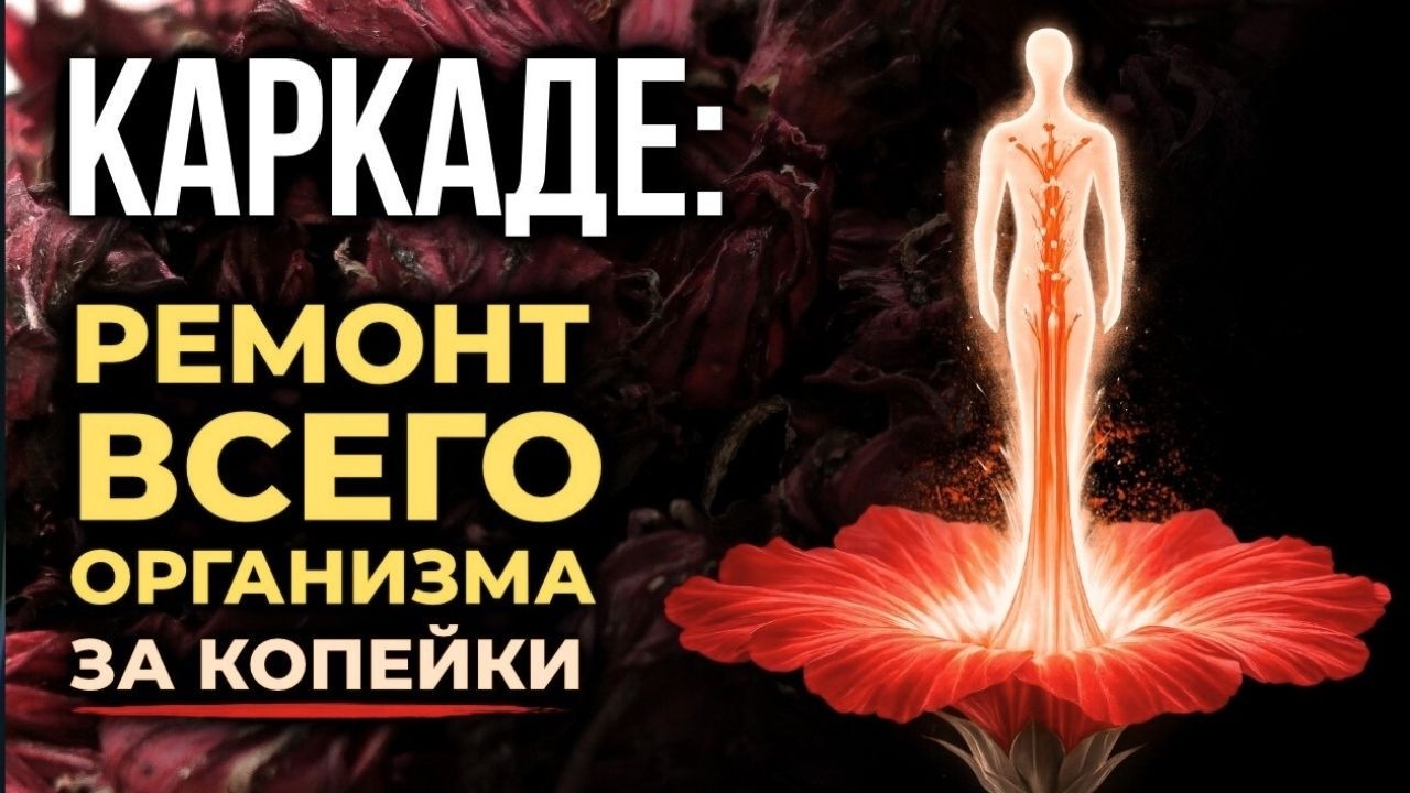 Каркаде снижает давление не хуже лекарств. Как готовить правильно?