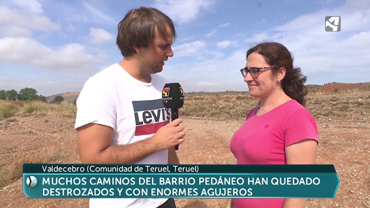 El agua arrolla un rebaño de ovejas en Valdecebro