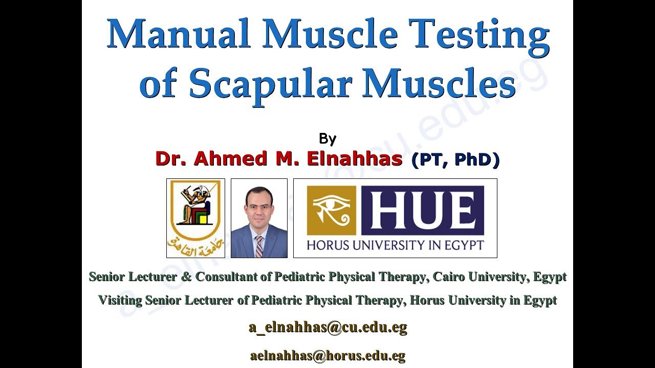 Manual Muscle Testing of Scapular Muscles