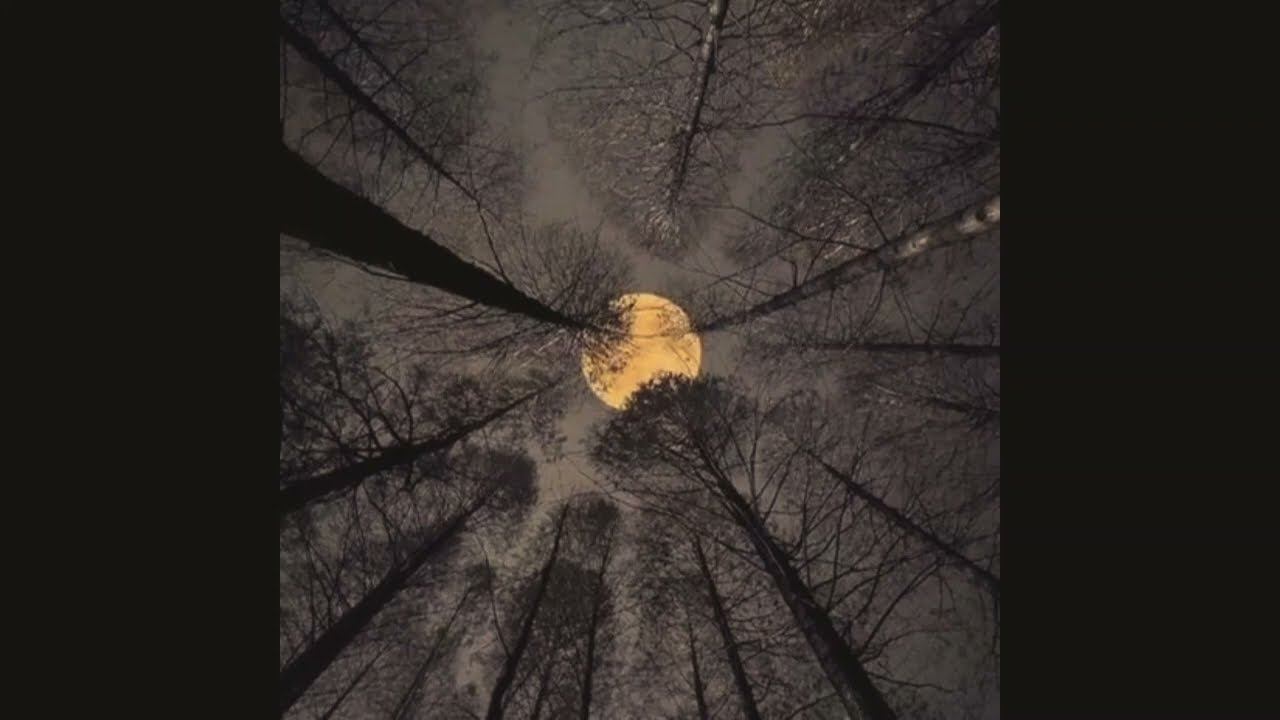 Sidewalks and Skeletons - 'Goth' ( super slowed + reverb )