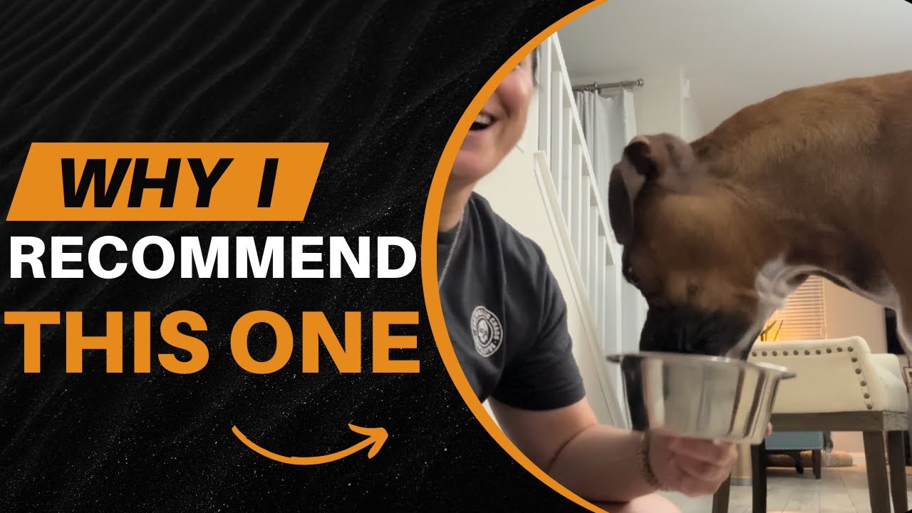 Review of Daily Dog Supplement - 11 in 1 Dog Multivitamin Powder