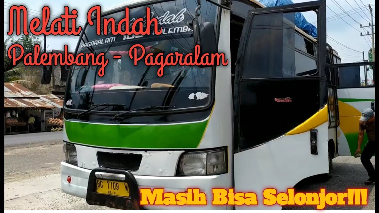 MURAH TAPI TAK MURAHAN!!!! || Recommended Trip dengan Bus Melati Indah Palembang - Pagaralam