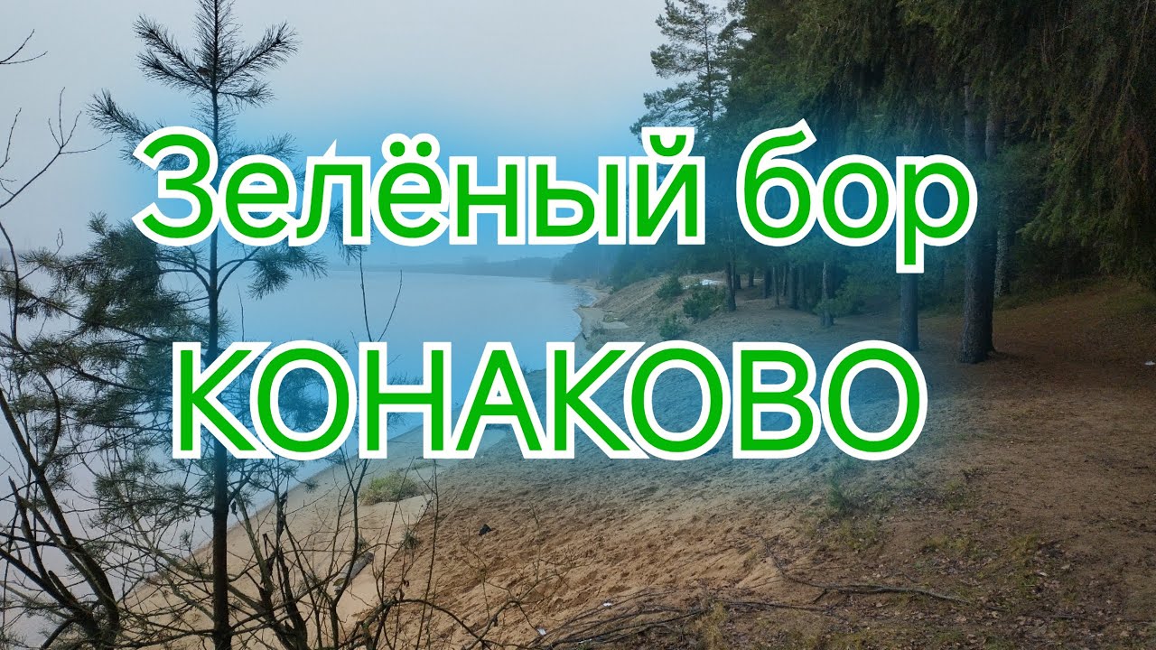 На недельку в Конаково