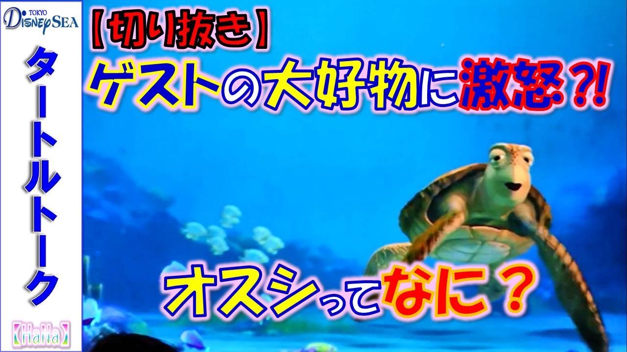 【切り抜き】 タートルトーク 「ゲストの大好物に激怒⁈オスシってなに？」【HaNa】