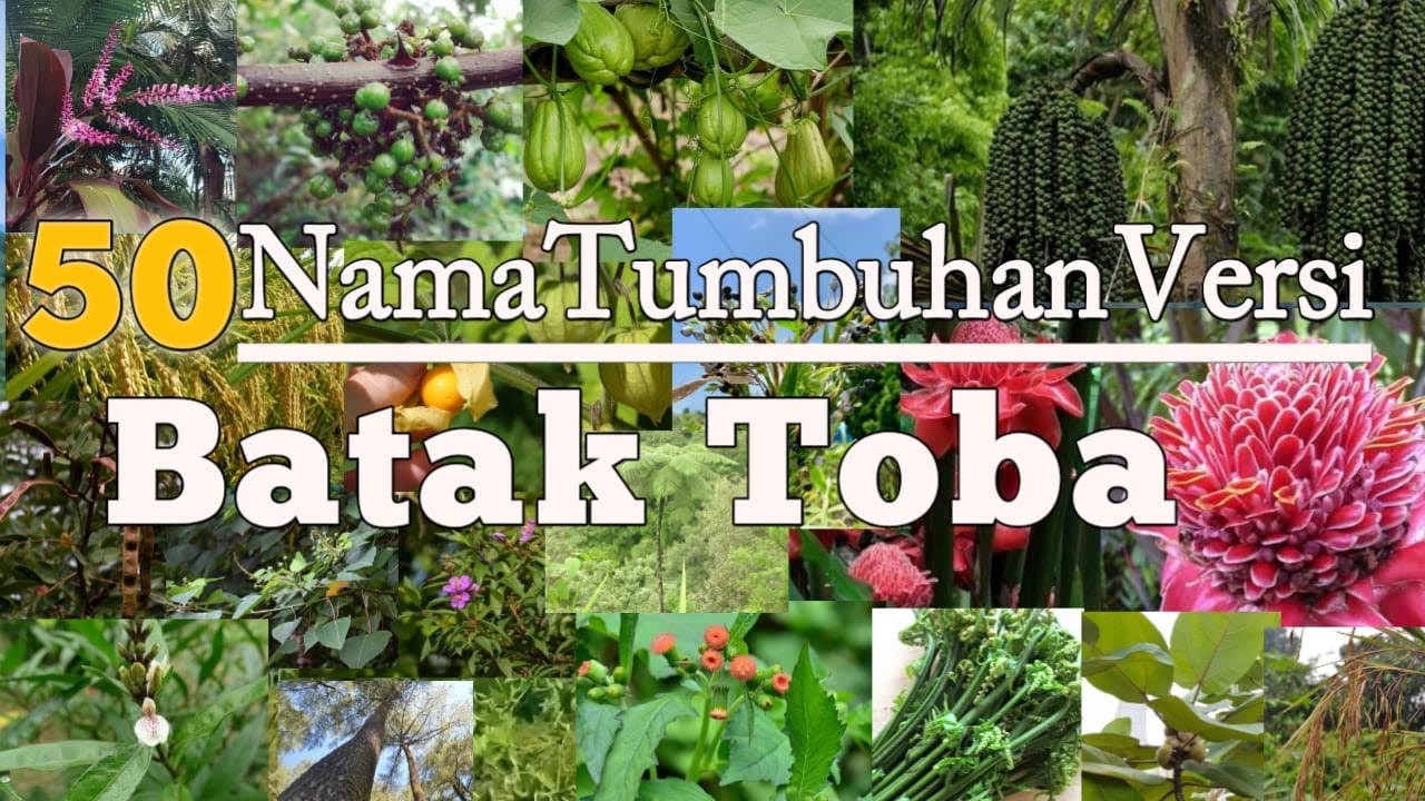 50 NAMA TUMBUHAN VERSI BAHASA BATAK TOBA
