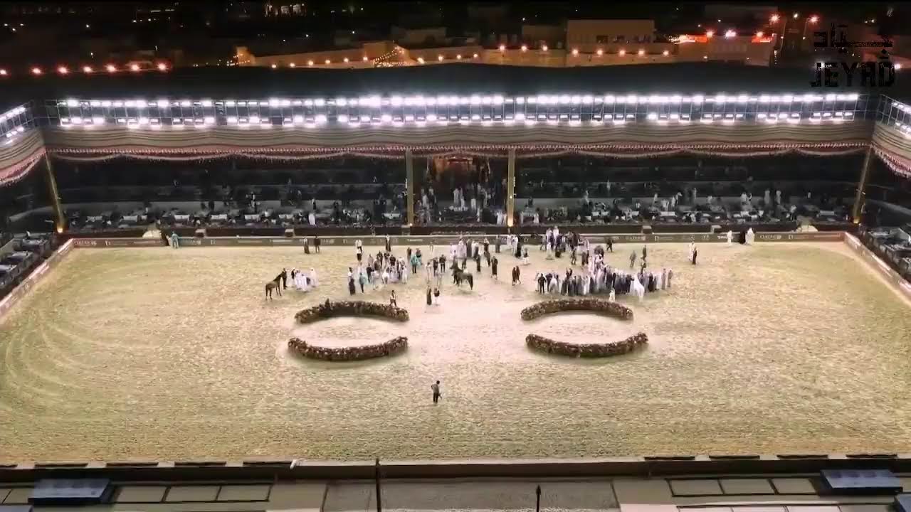 بطولة الدوحة ضمن جولة أبطال الخيل العربية العالمية GCAT - اليوم الثاني