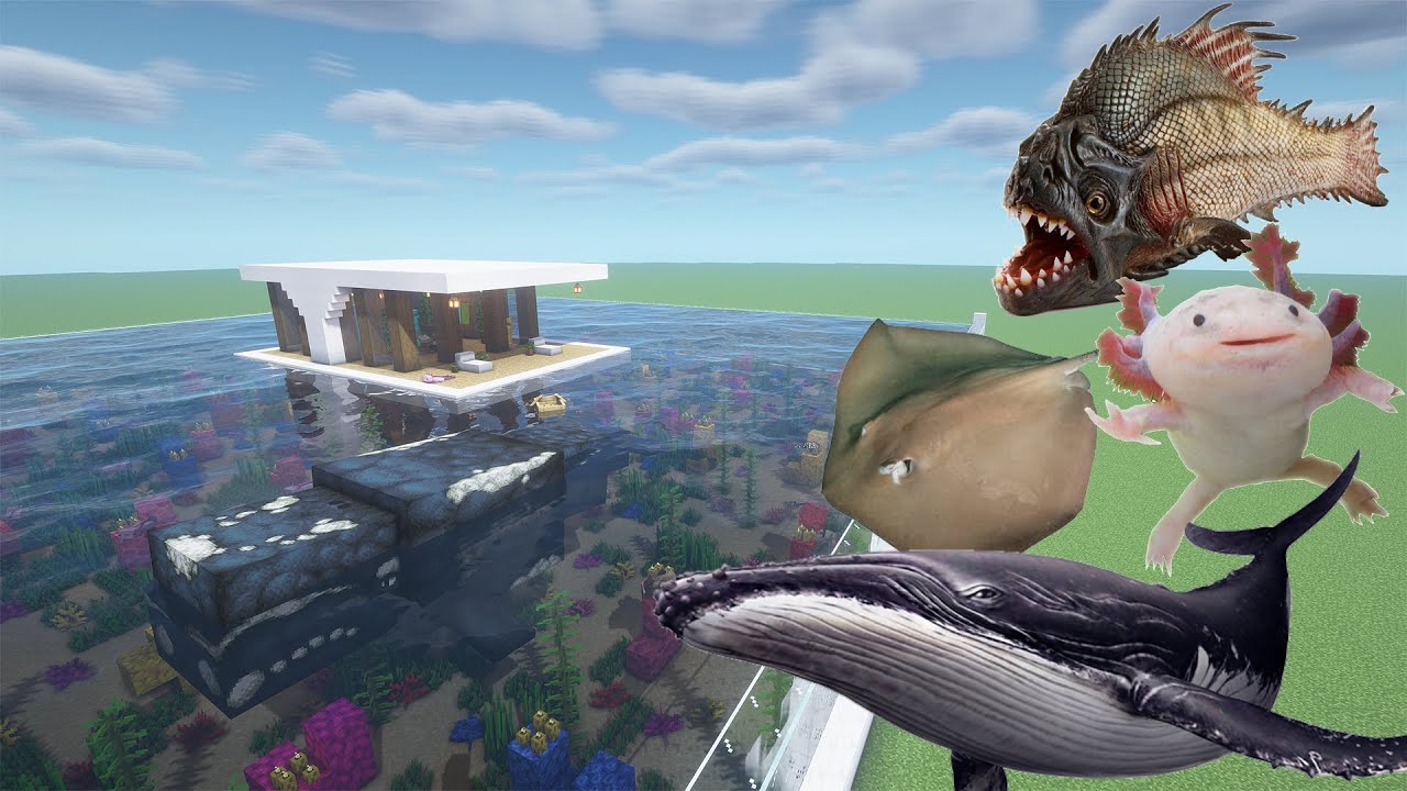 How To Make a Stingray, Piranha, Axolotl, and Whale Farm in Minecraft PE