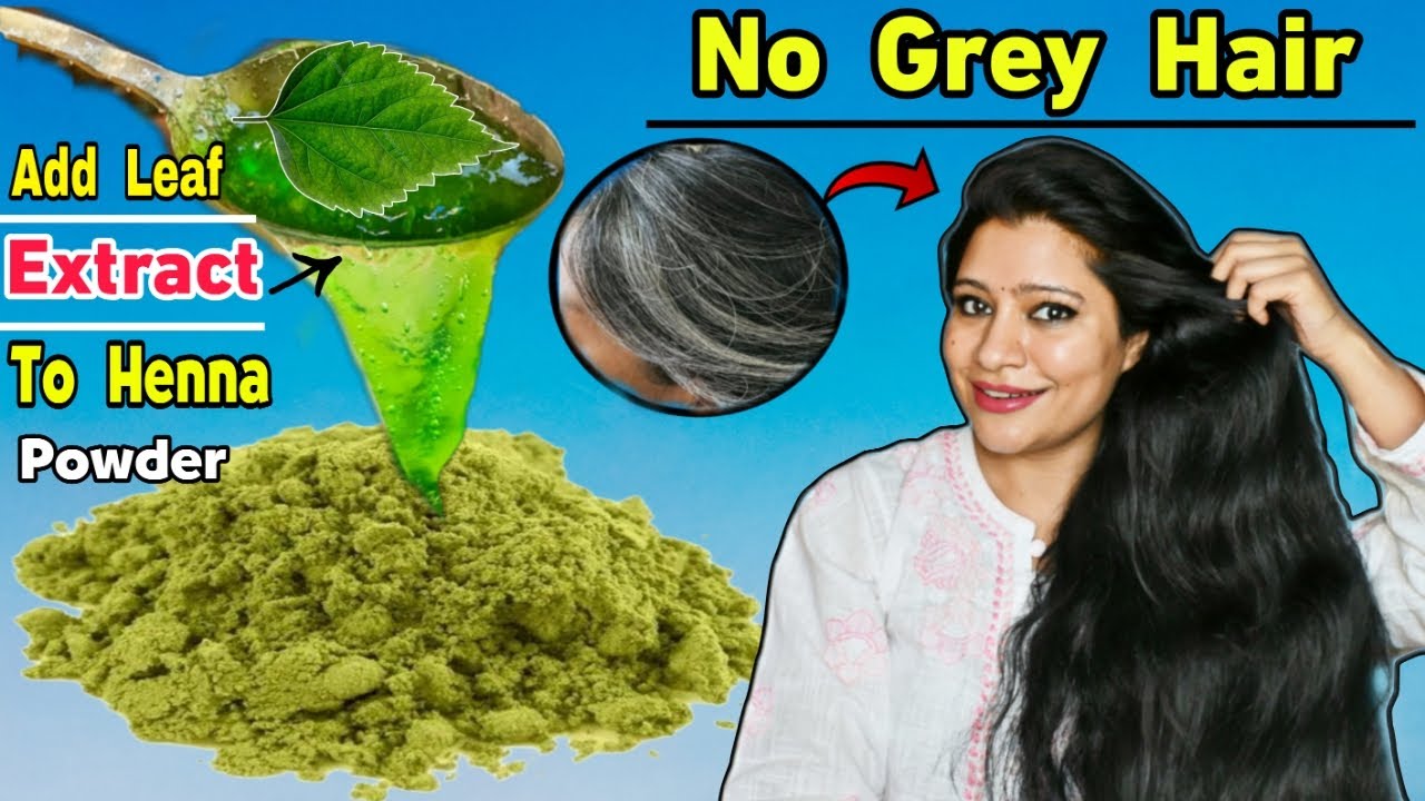 Add This Leaf Extract Into Henna To Turn Premature White Hairs Black Permanentlyसफेद बाल काले बनायें