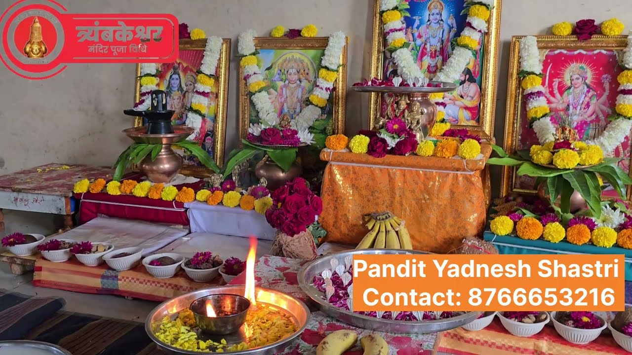 Kaal Sarp Dosh Pooja Cost | Trimbakeshwar Mandir Pooja Call Book 8766653216 Puja in Trimbakeshwar 