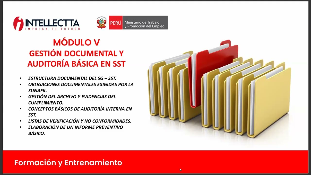 MÓDULO V - DIPLOMA INTENSIVO DE FORMACIÓN PROFESIONAL DE PREVENCIONISTAS DE RIESGOS LABORALES