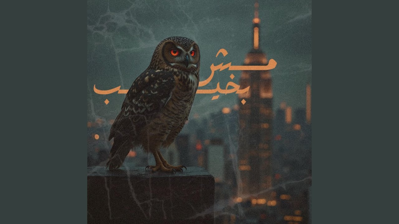 MSH BAKHEEB