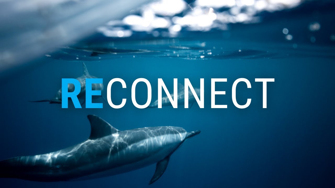 Without Borders - The Caribbean Biological Corridor