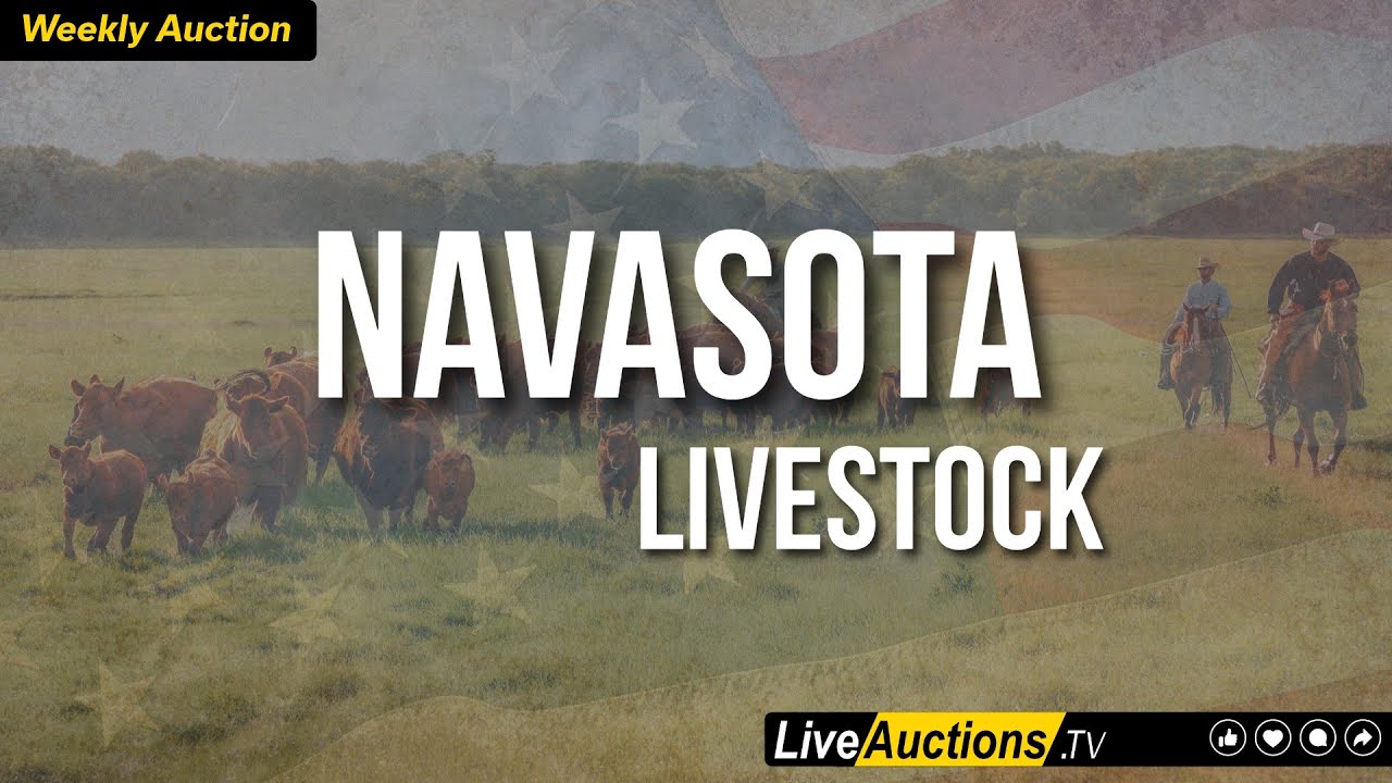 Navasota Livestock