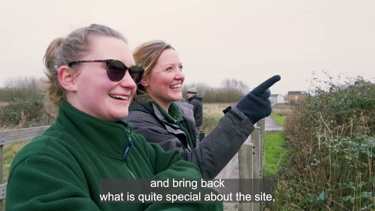 Celebrating Somerset: Wilstock & Stockmoor Country Park (with subtitles)