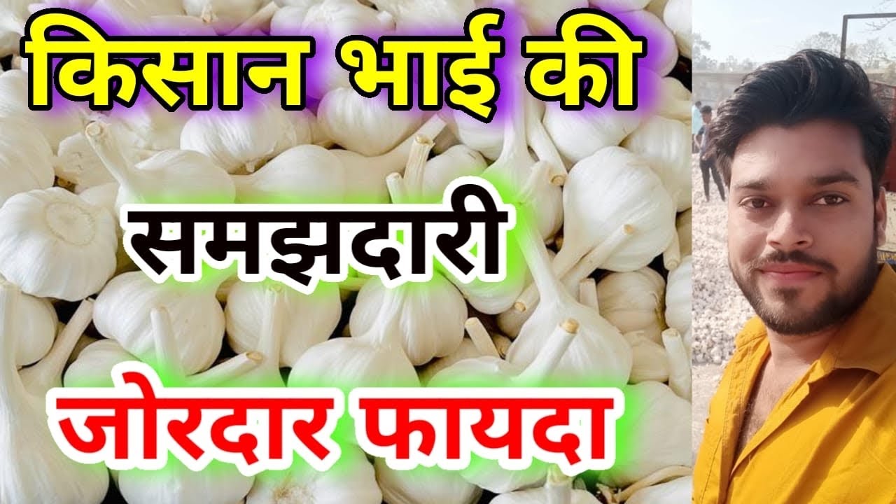 किसान भाइयीं तरीका बदलो ज़्यादा पैसा कमाओ 