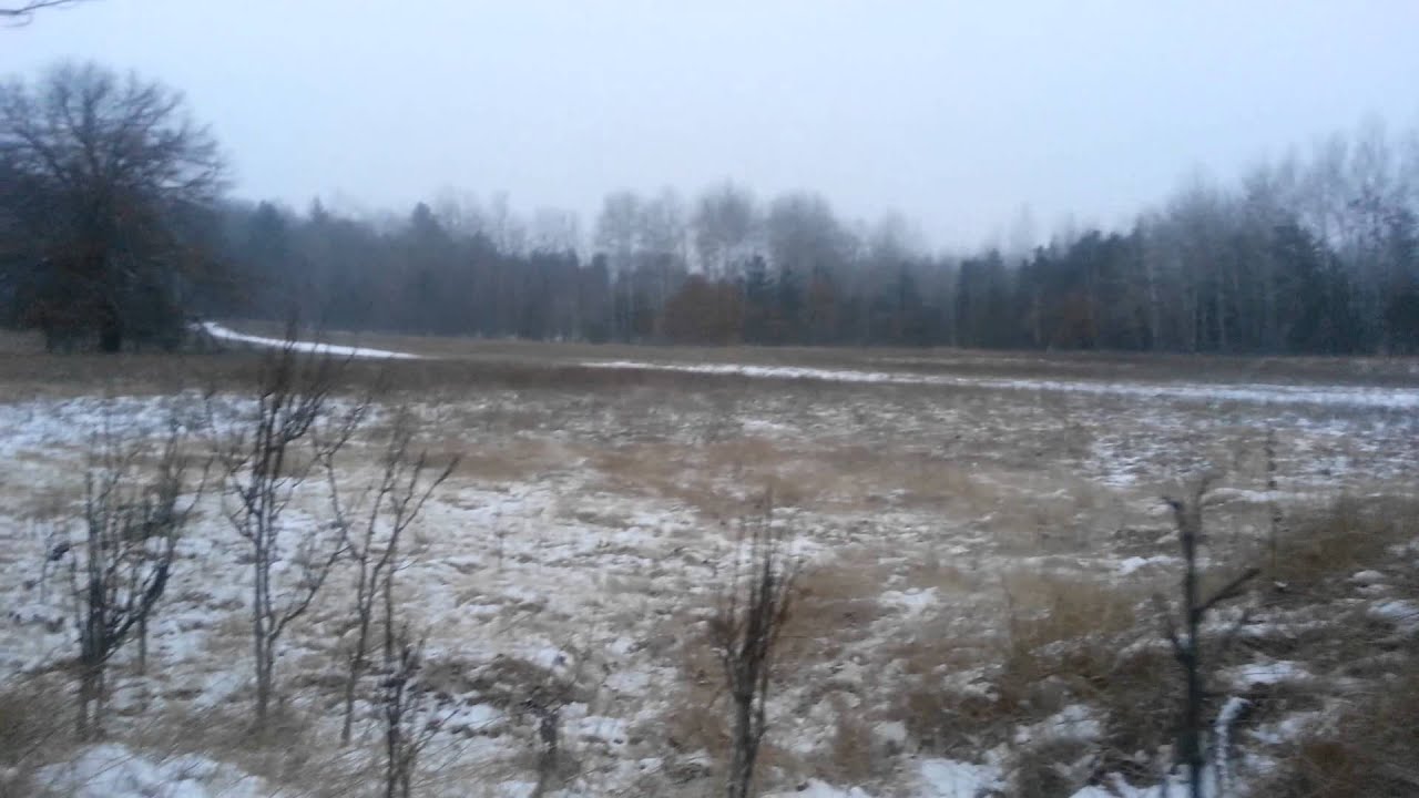 Deer hunting Atlanta Mi