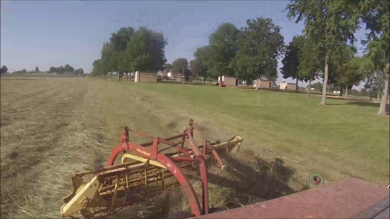 Raking hay new holland 256 roll bar rake