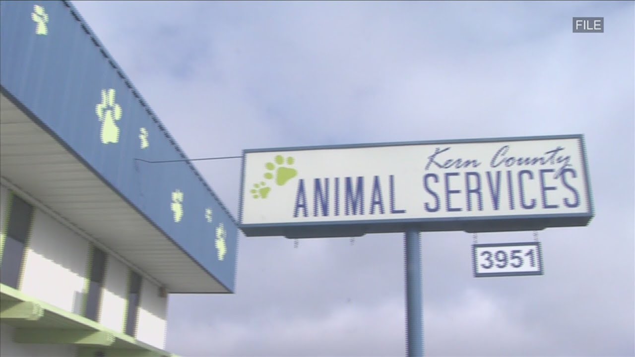 World Spay Day at Kern County Animal Services