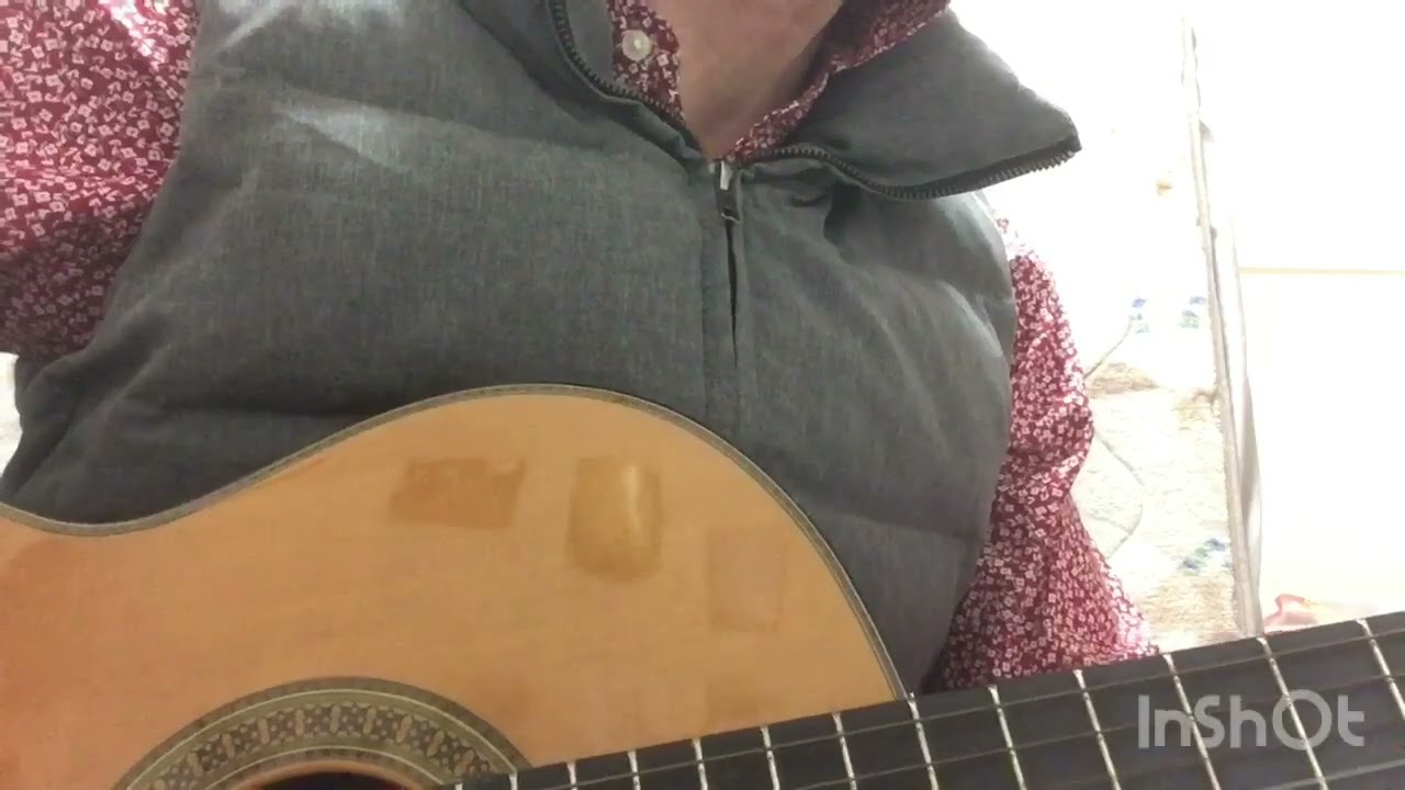 Eagles - I Can't Tell You Why  guitar cover
