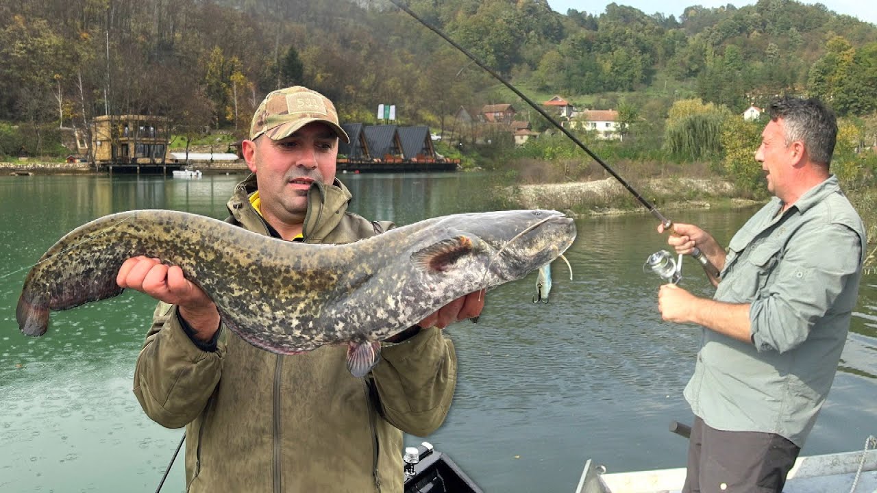 Pecanje soma, mrene i deverike na Zvorničkom jezeru - Zelenika resort | Fishing catfish