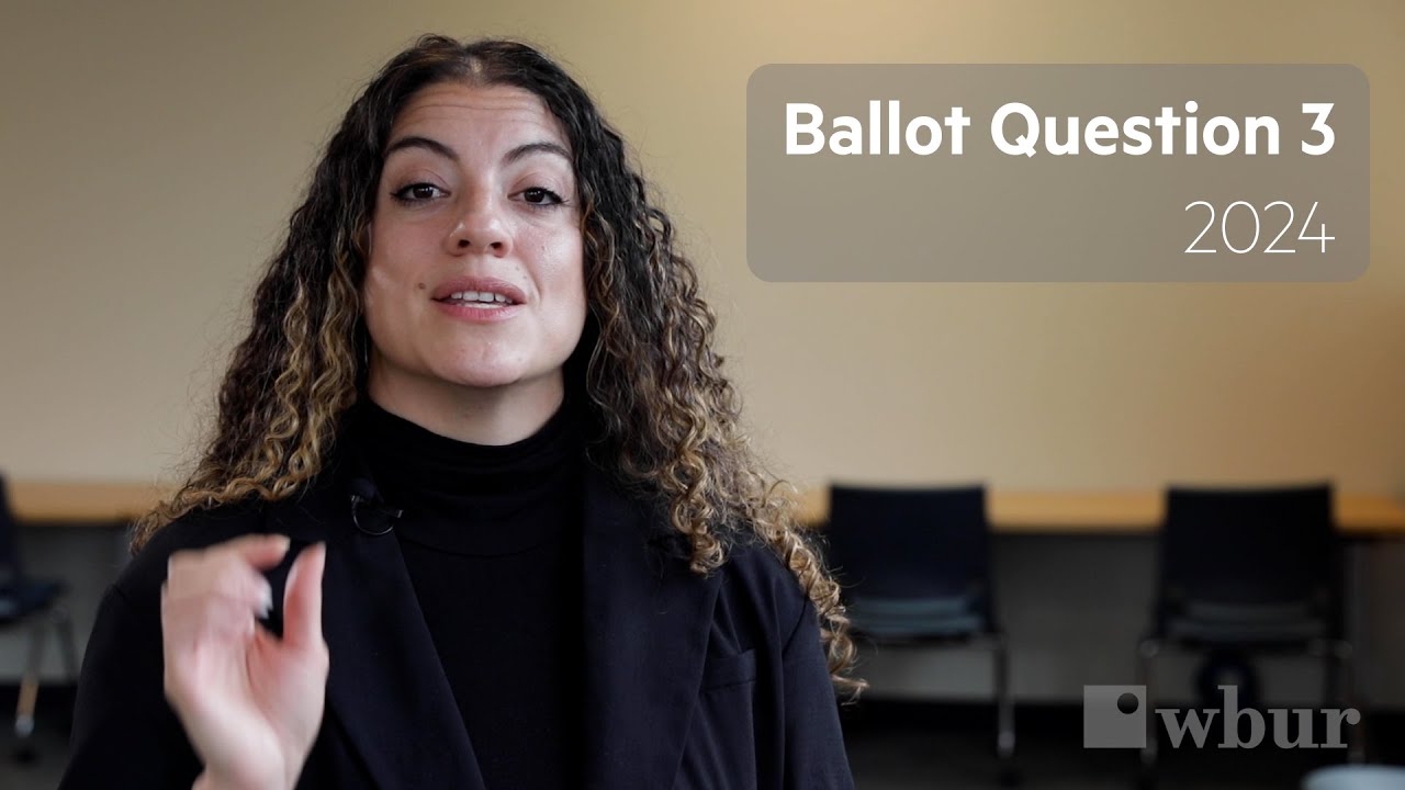 2024 Ballot Question 3: Unionization for Transportation Network Drivers