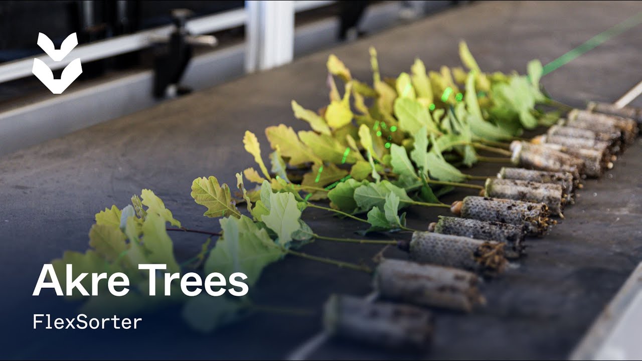 Customer story: Akre Trees | TTA-ISO's FlexSorter