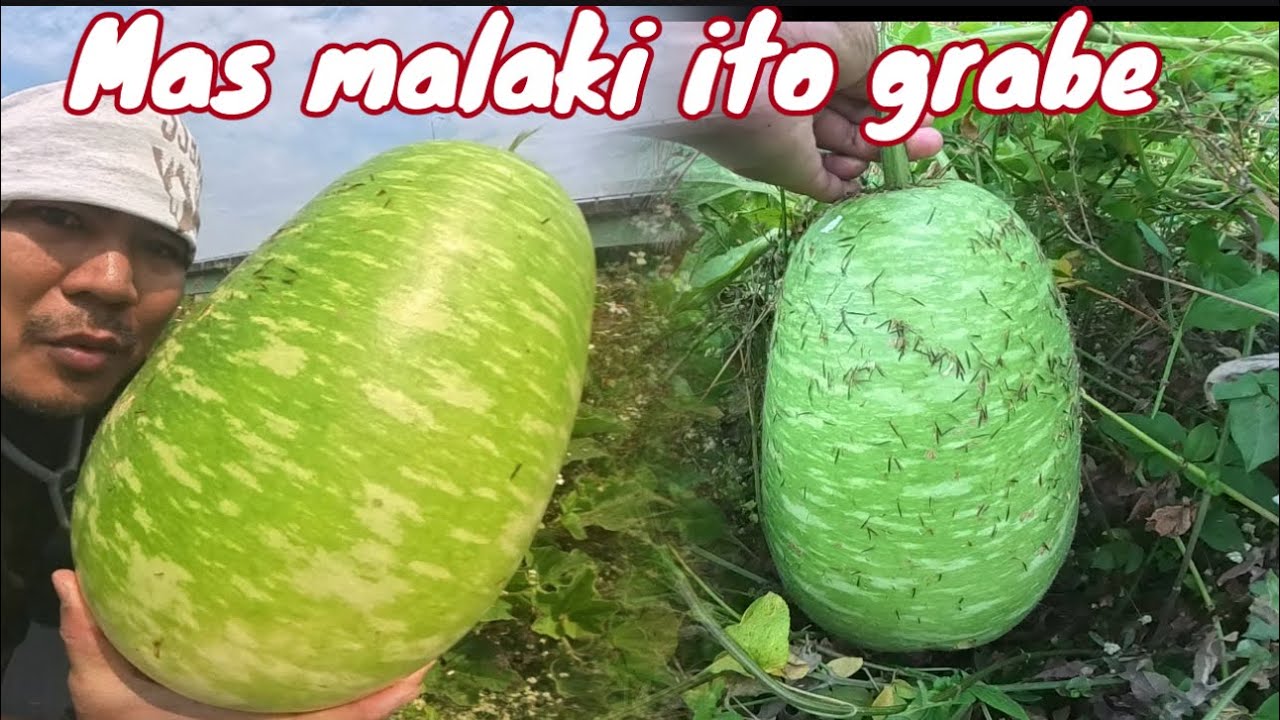 Mas dambuhala pa pala ito kaysa sa una grabe