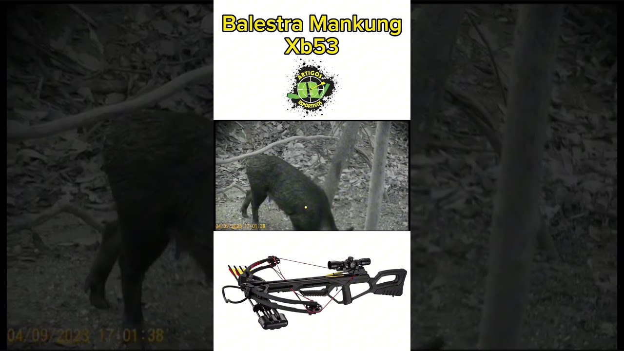 Balestra Mankung XB53 em ação...