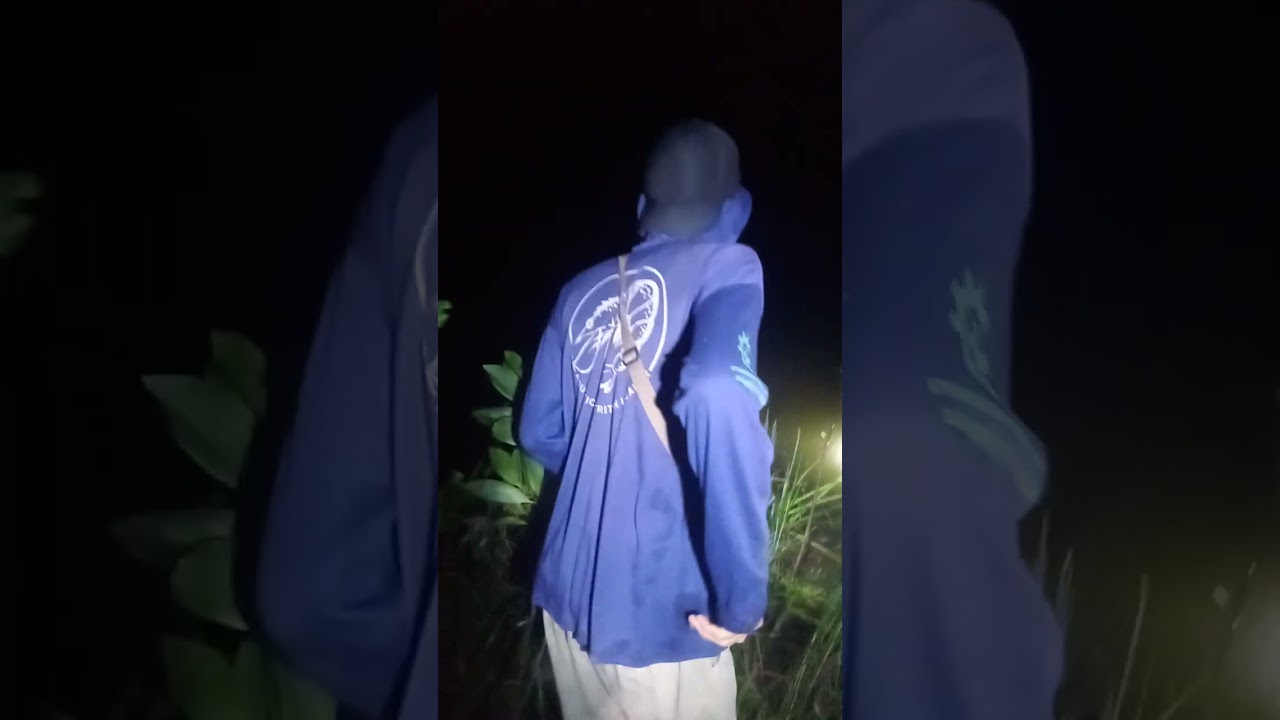 Ketika masang Tajur di bulan purnama