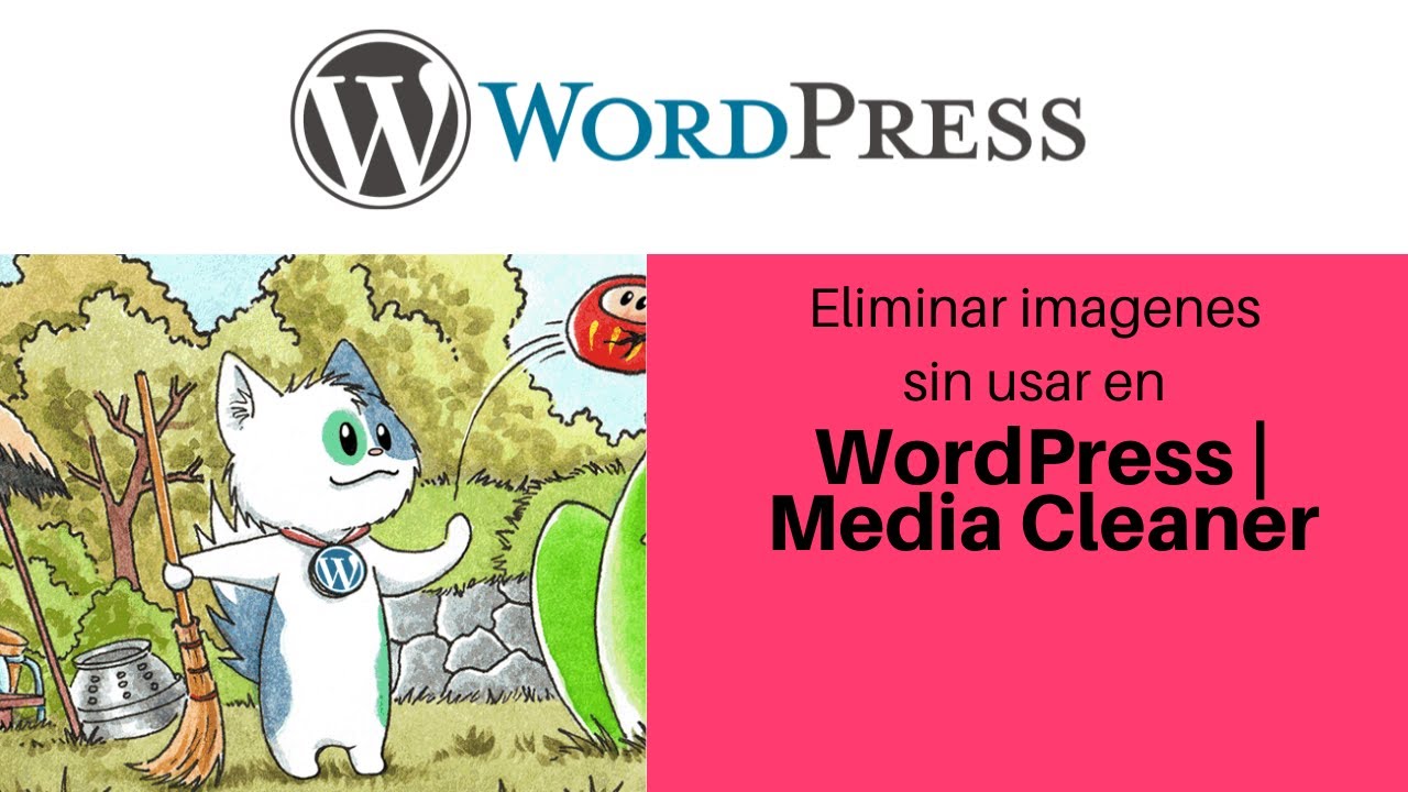 Eliminar im&aacute;genes QUE NO SE USAN en WordPress | Media Cleaner