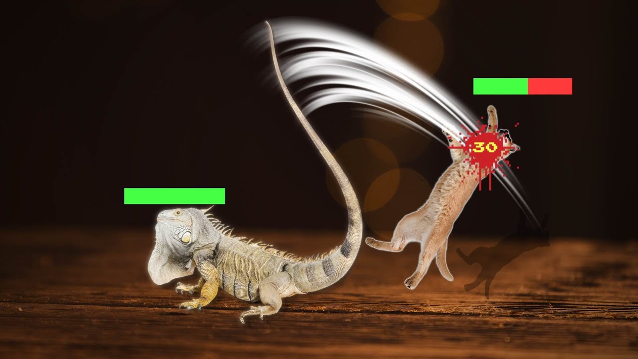 Are IGUANA OP?