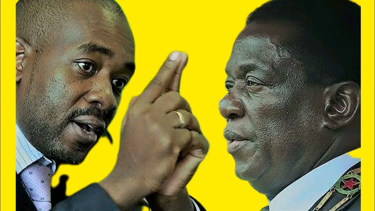 LIVE Coverage // Zimbabwe 2023 Elections // Election Room // #ElectionsZW