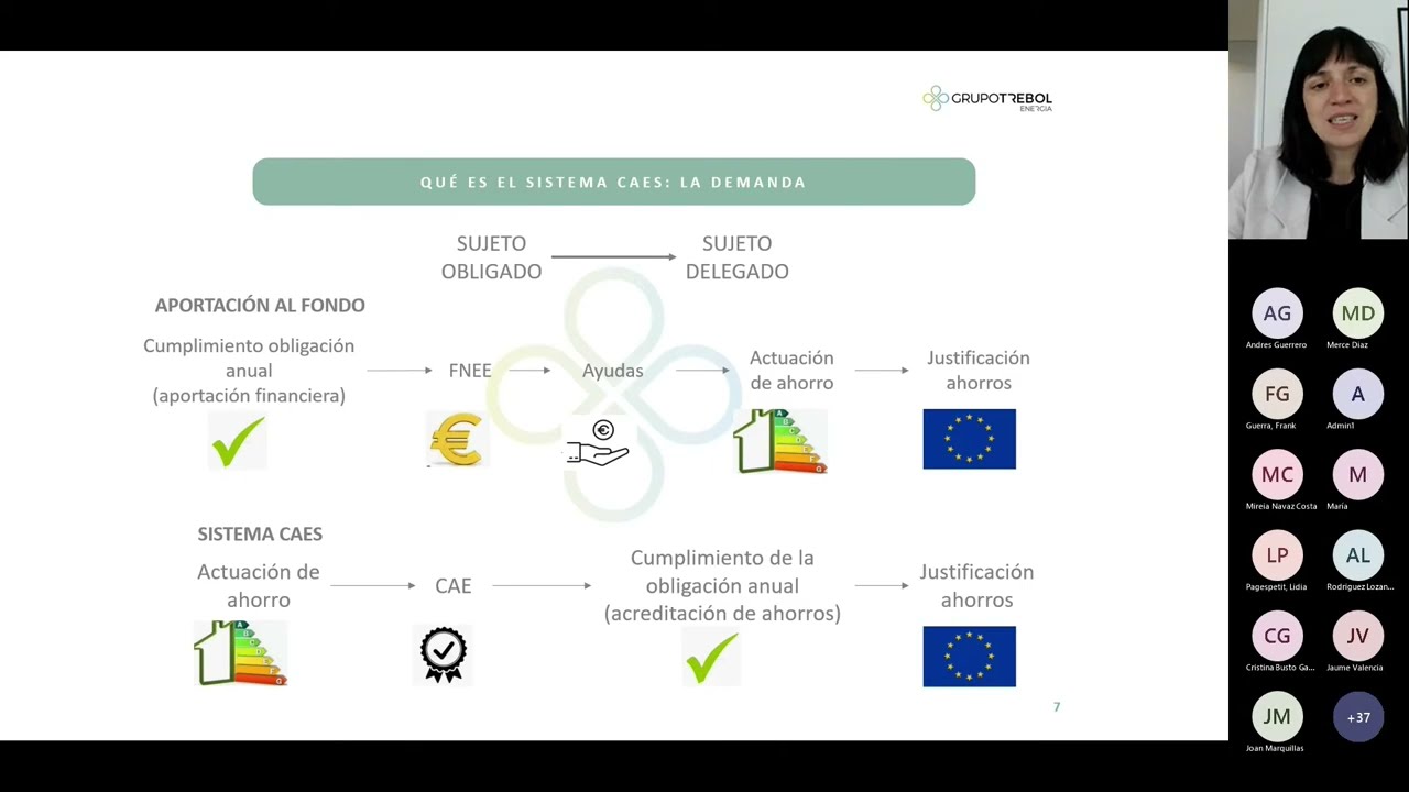 Webinar  Certificados Ahorro Energético (CAE )