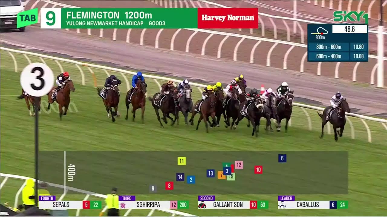 Гандикап Ньюмаркет 2026 - CABALLUS (3-летние и старше, гандикап, G1) Группа 1, Флемингтон, 7 марта